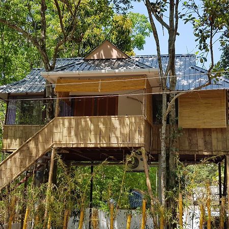 Ponmudi Valley Resorts Extérieur photo