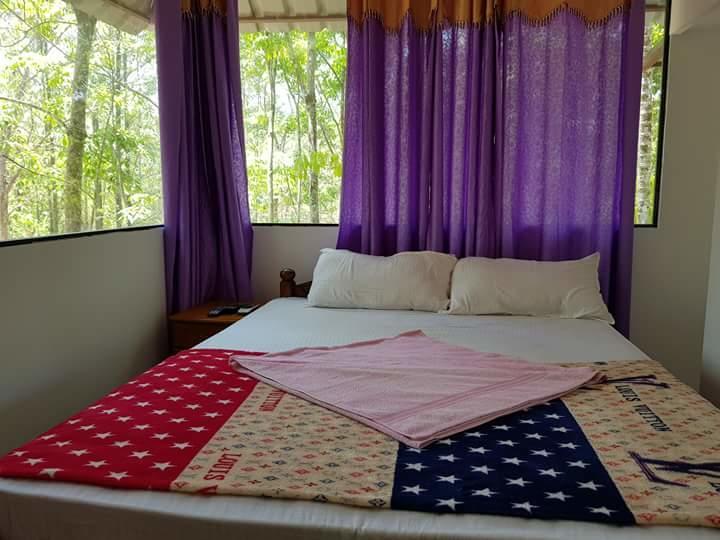 Ponmudi Valley Resorts Extérieur photo
