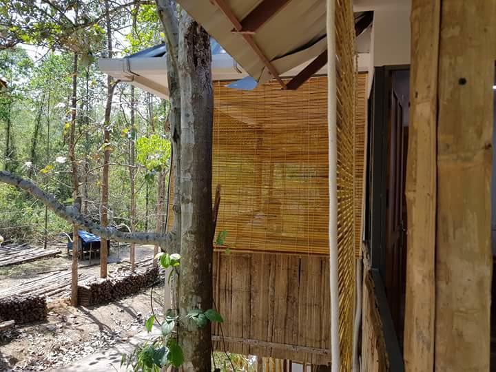Ponmudi Valley Resorts Extérieur photo