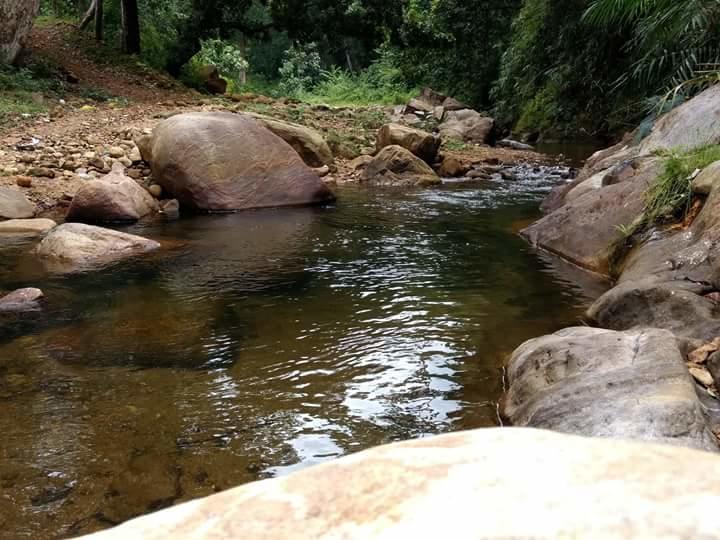 Ponmudi Valley Resorts Extérieur photo