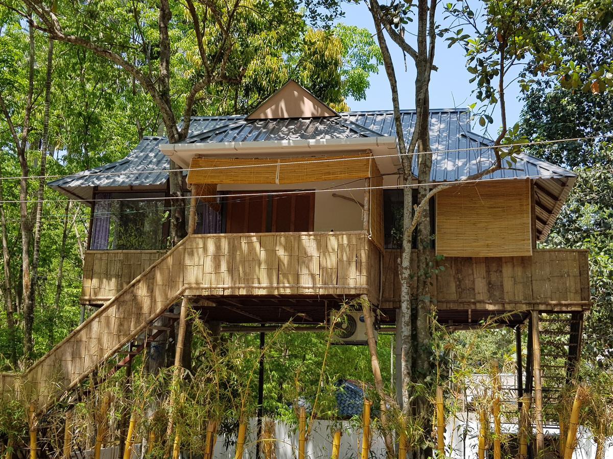 Ponmudi Valley Resorts Extérieur photo